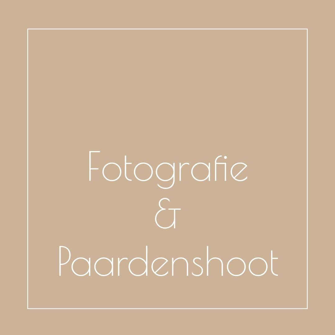 Fotografie Eindhoven portret fotografie, studio fotografie, buitenshoots, familieshoots, kindershoots.